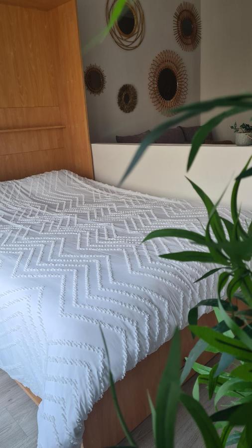 Cabo Beach Studio'S Blankenberge Zewnętrze zdjęcie